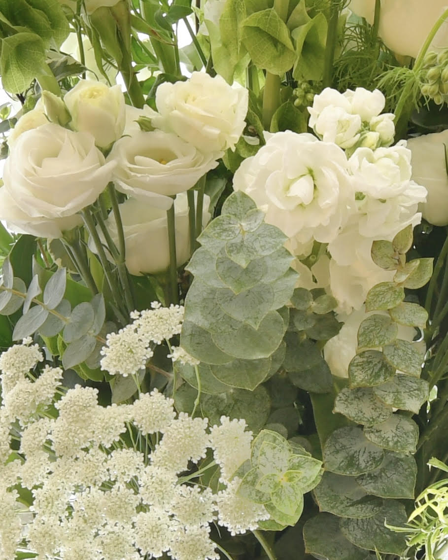 Designers Choice-Whites