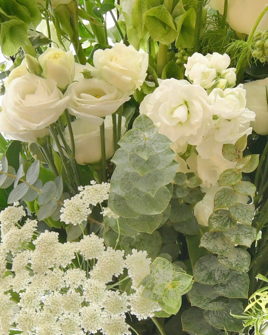 Designers Choice-Whites